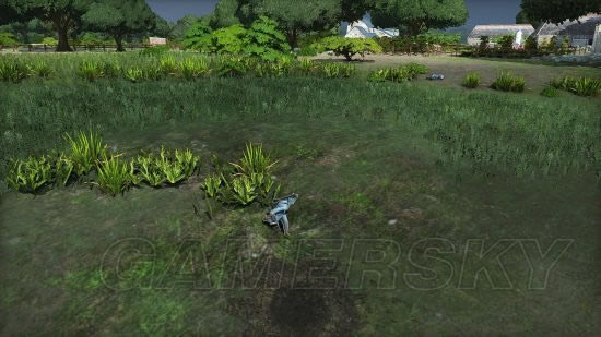 ����֮ʦŵ����44����������ɶ��_����֮ʦŵ����44��������ͼ����ϸ˵��