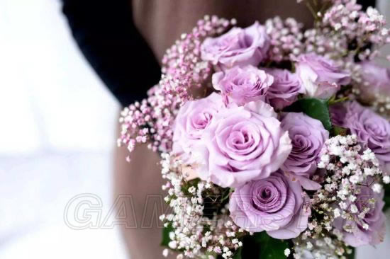 ������ЧӦ��Ů������������������ͼ�Ĺ���