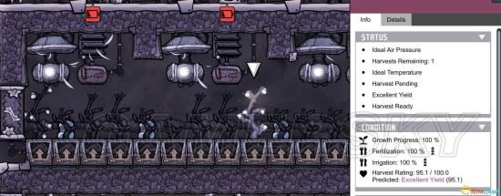 ��ȱ����ʳ������ֲ����ͼ�Ĺ���