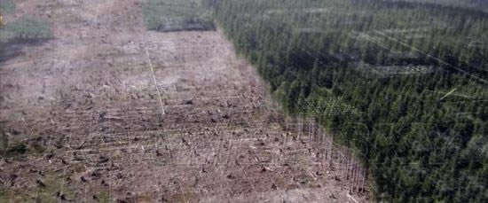 ���ŷ����������̼�BOSSսͼ�Ĺ���