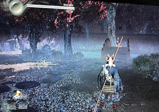 ��������1.08���������ˢҩBUG�÷�