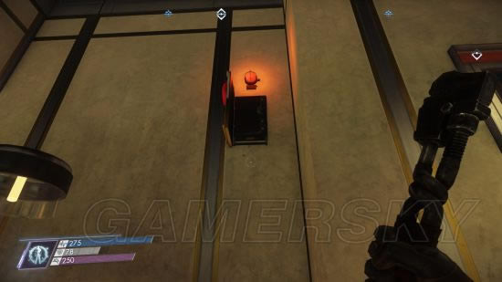 ����ʳ������˹��˽��֯��������ͼ�Ĺ���