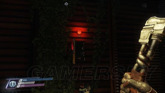 ����ʳ������˹��˽��֯��������ͼ�Ĺ���