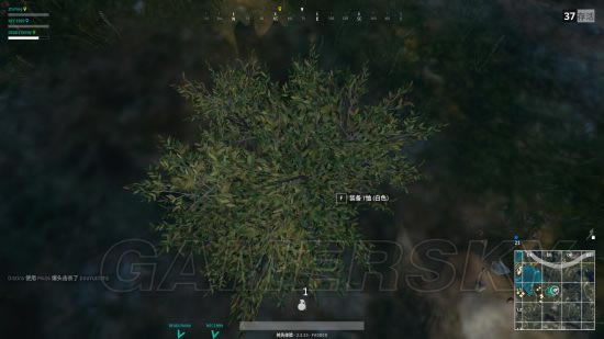 ��������������ɱ���ݴԲ�������