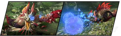 ����������XX�����淨ͼ�Ĺ���