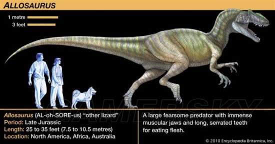 ���������������������������ѱ������ͼ�����