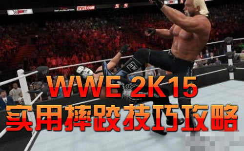 WWE 2K15ʵˤ淨ɹԴȫ