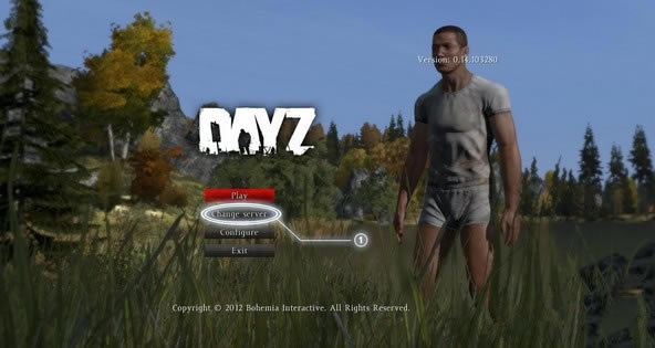 DayZֱؿŹ