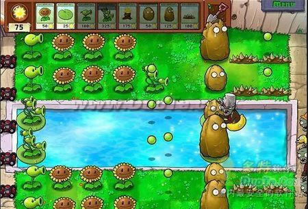 《植物大战僵尸》第三大关详细流程攻略