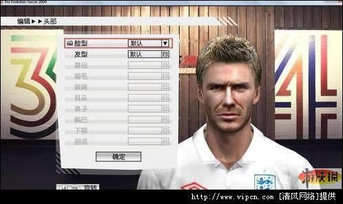 ʵ������2009����Ӣ��������