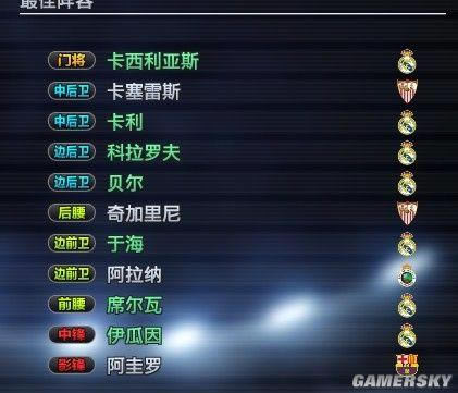 ML�����ѡ������� ʵ������2011