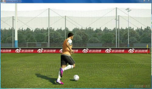 ʵ������2013����"�廨"������Ƶͼ��˵���̳�