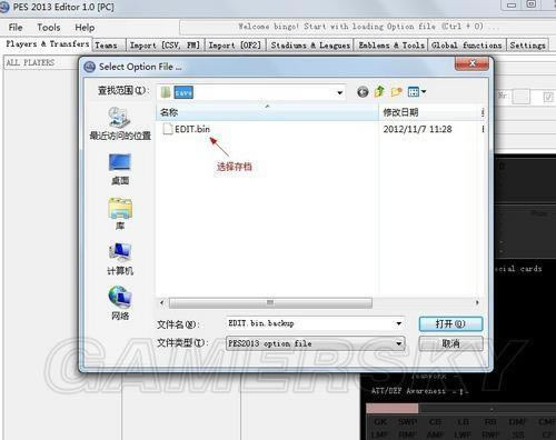 ʵ������2013������������Լ�����