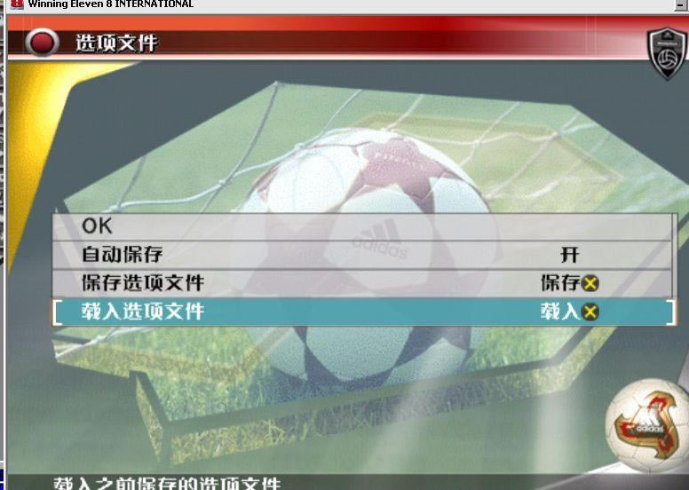 选项文件的应用,中文存档的导入_本站