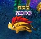 �λ����Ρ�����������