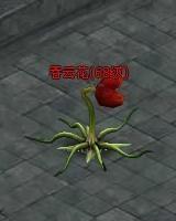 洪荒神话瑶池宫_本站