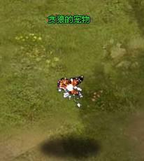 �ɾ�֮�������_��վ