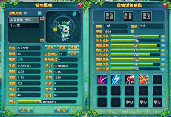 梦幻王国宠物介绍