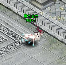 《梦八仙》宠物操作介绍_本站