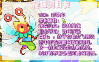 彩翼虫资料卡.jpg