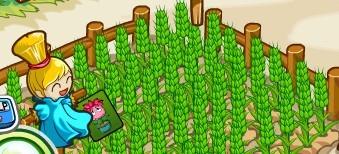 奥比岛魔法花架_本站