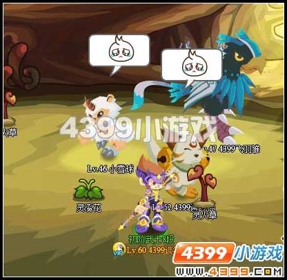 灵兽小屋 功夫派_本站