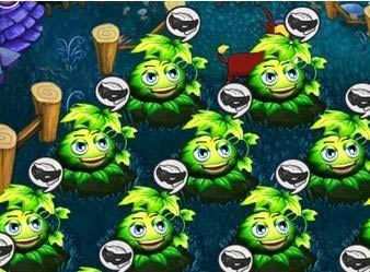 �����ˮ����֮��ʵ��ֲ_��վ