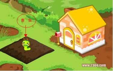 ��������԰��С����ѧ����ʩ�ʣ��Բ�С��¶����