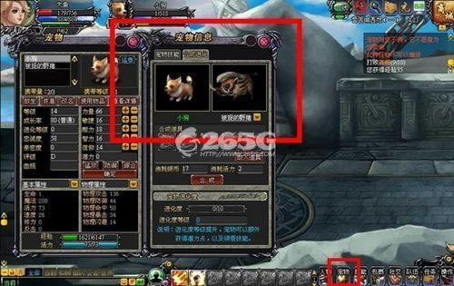 龙之刃--如何培养你的左膀右臂 龙之刃宠物系统详解_本站