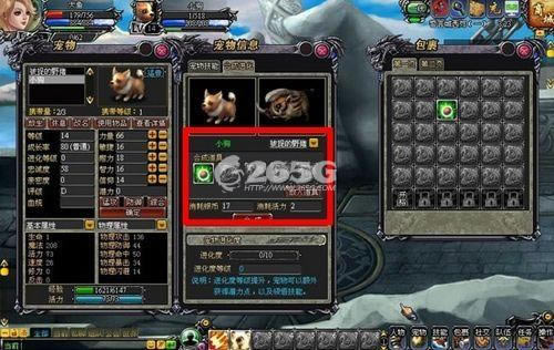 龙之刃--如何培养你的左膀右臂 龙之刃宠物系统详解_本站