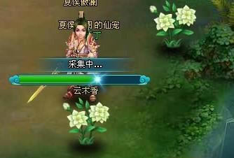 �ɼ�ϵͳ_��վ