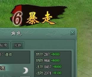 2918����BUFF����