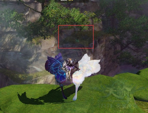 《天谕》冒险任务美味季节叁蘑菇在哪?菌菇位置图示