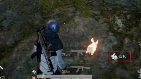 《和平精英》兔子怎么取消跟随