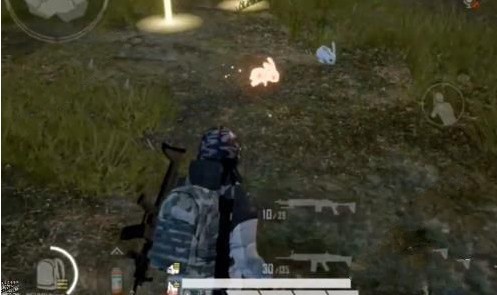 《和平精英》兔子怎么取消跟随