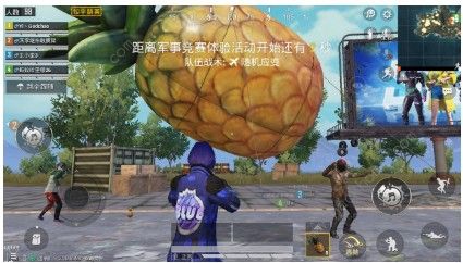 《和平精英》菠萝有什么用