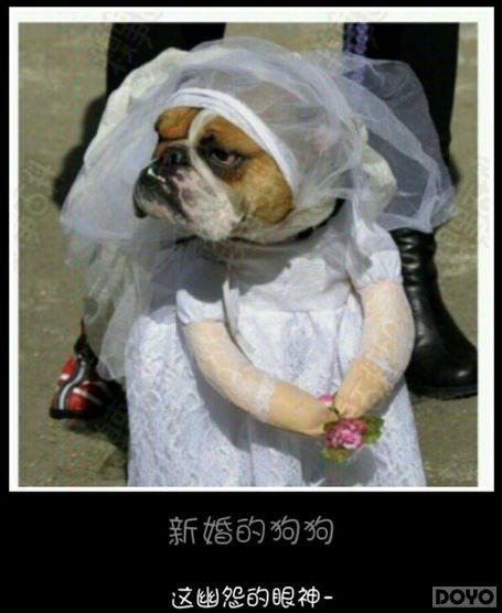 Ů��һ������仨?��նħ����ŮNPC˽�ܴ���_��վ