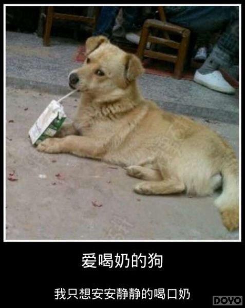 ������ʱ�ֳ���!��նħ������������������ع�_��վ