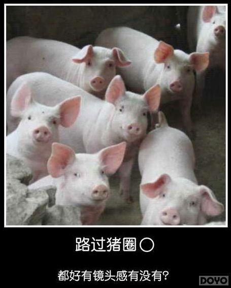 ��������EXO����?���񶷽�������Ҽ�ֱ�̲���_��վ