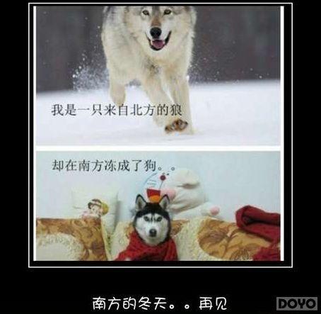 ��������EXO����?���񶷽�������Ҽ�ֱ�̲���_��վ