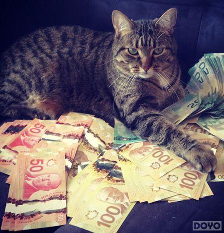 ��նħ����Ҹ�Ц�Ÿ���������Ǯ������ô����!_��վ