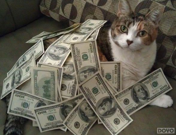 ��նħ����Ҹ�Ц�Ÿ���������Ǯ������ô����!_��վ