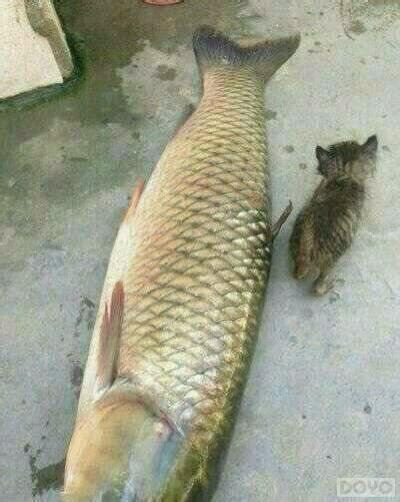 ��նħ����Ҹ�Ц�Ÿ���������Ǯ������ô����!_��վ