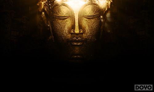 9377��������X72�ع� ��ָ���δ�IP_��վ