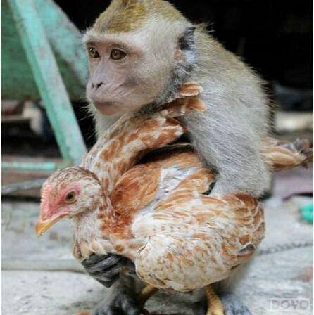 ������ʹ֮����ȫ�µ�ͼ��������԰��������_��վ