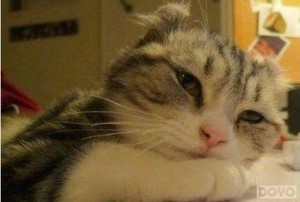 ������ս����ɫ�淨���֮�л�ƪ_��վ