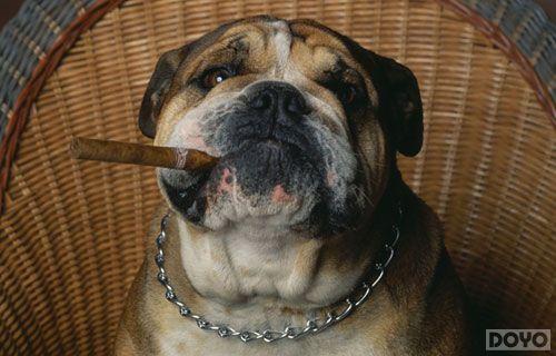 ���ƾ�Ҫ��ȫ��!�������ײ⾪��������¼_��վ