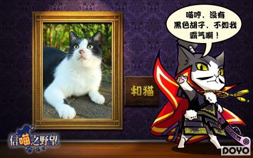 ������ԭ����������֮Ұ������è�ĵ���_��վ