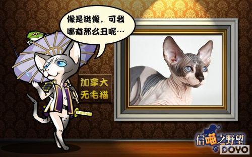 ������ԭ����������֮Ұ������è�ĵ���_��վ