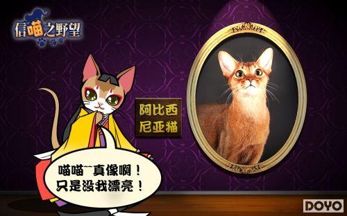 ������ԭ����������֮Ұ������è�ĵ���_��վ